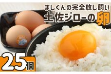 ましくんの完全放し飼い土佐ジローの卵（25個入り）もみ殻梱包 ブランド卵 タマゴ 玉子 たまご 生卵 鶏卵 土佐地鶏 濃厚 新鮮 食品 プレゼント ギフト 送料無料 【R00443】