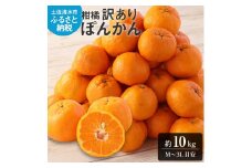 【令和8年発送】【訳あり】ぽんかん10kg（谷川果樹園）デコポンの親  みかん 蜜柑 ミカン 不知火 しらぬい 柑橘 かんきつ ポンカン フルーツ オレンジ 果物 くだもの 果汁 甘い【R01142】