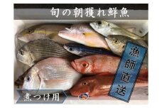 旬の朝獲れ鮮魚（煮つけ用）漁師おすすめセット 鮮魚 直送 ボックス 詰め合わせ【以布利定置網　漁師直送】朝獲れ 旬 煮付 煮魚 魚介 海鮮 魚 さかな せんぎょ 鮮魚セット おまかせ お任せ【S00820】