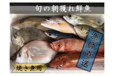 旬の朝獲れ鮮魚（焼き魚用）漁師おすすめセット 鮮魚 直送 ボックス 詰め合わせ【以布利定置網　漁師直送】朝獲れ 旬 焼き魚 焼魚 魚介 海鮮 魚 さかな せんぎょ 鮮魚セット おまかせ お任せ【S00821】