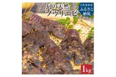 【先行受付10月下旬以降】幻の天然ゾウリエビ１kg（サイズおまかせ）※着日指定不可※タビエビ 甲殻類 海老 地元ですら流通しない希少セミエビ科  高知県産 エビ ゾウリエビ 冷蔵 新鮮 美味しい 希少【R00620】