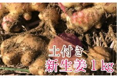 自然農 新生姜１kg（自然のままの土付き）皮まで食べられる 甘酢漬け ガリ ショウガ レシピ付き 【R00216】