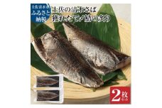 獲れたて土佐の清水さば 炙り〆鯖2枚セット（ブランドゴマサバ・1枚あたり約170g～210g） フィレ 寿司 切り身 骨なし あぶり おつまみ さば サバ 鯖 魚 魚介類 海鮮 高知県 土佐清水市【R00279】