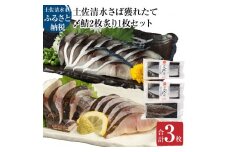 獲れたて土佐の清水さば 〆鯖2枚＆炙り〆鯖1枚セット（ブランドゴマサバ・1枚あたり約170g～210g）合計3枚 刺身 フィレ 切り身 骨なし おつまみ さば サバ 鯖 魚介類 高知県 土佐清水市【R00457】