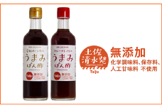 無添加 宗田かつおのうまみぽん酢 ２種セット（各300ml×１本）フルーツトマト味 サラダドレッシング【R00124】