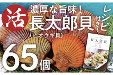 生け簀でお届けヒオウギ貝65個セット エアポンプ付（ホタテの仲間）アウトドア キャンプ 海鮮BBQ 魚貝 刺身 生 貝殻付 活 貝柱 酒蒸し バーベキュー【R00646】