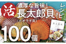 生け簀でお届けヒオウギ貝100個セットエアポンプ付（ホタテの仲間）アウトドア キャンプ 海鮮BBQ 魚貝 刺身 生 貝殻付 活 貝柱 酒蒸し バーベキュー【R00679】
