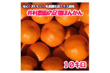R8.1月下旬発送 ご贈答◎ ギフト◎ 完熟 足摺ぽんかん 10kg デコポンの親 みかん 柑橘 果物 果実 ミカン ぽんかん ポンカン フルーツ おやつ デザート 10キロ 美味しい おいしい 井村農園【R01494】