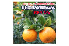 R8.1月下旬発送 家庭用だけど家庭用じゃない!? 訳あり 足摺ぽんかん（５kg）デコポンの親 みかん 柑橘 果物 果実 ミカン ぽんかん ポンカン フルーツ おやつ デザート 5キロ 美味しい 井村農園 高知 【R01488】