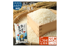 【3月14日～価格改定（値上げ）】【５回定期便】あしずり黒潮米５kg×５回（コシヒカリ）こしひかり 精米 白米 ブランド米 お米 米 コメ ご飯 おにぎり 甘い もちもち 国産 宗田節で育てた【J00180】