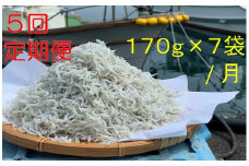 【5回定期便】岡本水産加工のちりめんじゃこ（毎回170ｇ×7袋お届け）冷凍便 シラス 無添加 釜揚げ しらす丼 ちりめん丼【J00030】