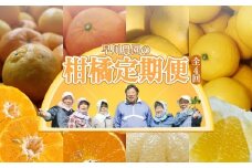【令和８年発送】　柑橘フルーツ４回定期便（ぽんかん３kg・麗紅３kg・文旦５kg・小夏３kg）みかん４種 果物 果実 柑橘 フルーツ デザート おやつ 美味しい  国産 ギフト プレゼント 贈答【J00018】