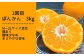 1回目：ぽんかん