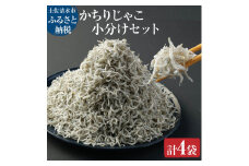 浜口海産物店のかちりじゃこ（60ｇ× 4袋）小分けセット シラス 釜揚げ しらす丼 ちりめん丼 高知県 土佐清水市 送料無料 しらす シラス 釜揚げしらす かちりじゃこ カチリジャコ 【R00016】
