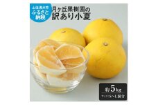 【先行予約】月ヶ丘果樹園の訳あり小夏５kg　家庭用柑橘 日向夏 みかん フルーツ  特産果物 こなつ 日向 夏 蜜柑 ミカン オレンジ くだもの 果実 フルーツ 柑橘 果汁 爽やか【R00177】