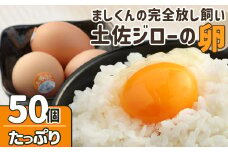 ましくんの完全放し飼い土佐ジローの卵　(25個入り×2箱)もみ殻梱包 ブランド卵 タマゴ 生卵 鶏卵 国産 地鶏 はなし飼い ご飯 美味しい 濃厚 朝食 ランチ グルメ 贅沢 送料無料【R00632】