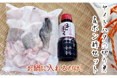鍋に入れるだけ！天然ヤイトハタとポン酢セット（切り身約600g/約3人前）海鮮鍋 魚介 高級魚 切り身 しゃぶしゃぶ【R00574】