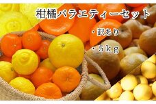 【先行予約】＜訳あり＞柑橘バラエティーセット（５kg） みかん 果物 果実 フルーツ デザート 健康 美味しい お楽しみ 詰め合わせ 文旦 ぽんかん はるか 麗紅【R01374】