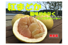 田中さん家の無農薬紅まどか（訳あり３キロ）家庭用 柑橘 みかん ザボン 文旦【R00072】
