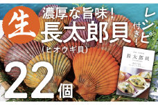 ヒオウギ貝22個セット（ホタテの仲間）アウトドア キャンプ 海鮮BBQ 魚貝 生 貝殻付 活 貝柱 酒蒸し バーベキュー【R00343】