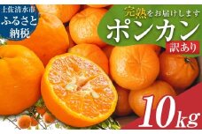 【令和８年発送　訳あり】ぽんかん10kg（オレンジ園）10キロ  デコポンの親 みかん ミカン 果物 果実 柑橘 フルーツ おやつ デザート ジューシー 甘い 美味しい 健康 家庭用 国産【R01081】