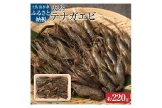 天然テナガエビ１パック（冷凍 約220g）川えび 素揚げ から揚げ 煮付け 甲殻類 冷凍 川 エビ 天然 テナガエビ 手長エビ 高知県産 冷凍配送 【R00026】