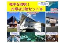 水族館・資料館・展示館　ぐるっと竜串　お得な3館入場券セット（大人１名用）高知県土佐清水市 観光チケット 旅行券 トラベル【R00107】