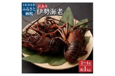 【訳あり】天然 伊勢海老 約1kg（２匹～４匹入り）海鮮BBQ 甲殻類 えび エビ 伊勢えび イセエビ 刺身 お刺身 鍋 お味噌汁 グラタン 海鮮 魚介類 海の幸【R01248】