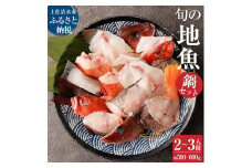 旬の地魚おまかせ３種 鍋セット500g～600g（2人～3人前）お楽しみ 海鮮鍋 切り身 カット魚 豪華 海の幸 魚介 シーフード 鍋 セット おまかせ 美味しい おいしい 土佐清水市 高知【R00281】
