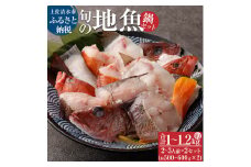 旬の地魚おまかせ３種 鍋セット（500g～600ｇ×２セット）2人～3人前×２ お楽しみ 海鮮鍋 切り身 カット魚 豪華 冷凍 配送 海の幸 魚介 シーフード【R00565】