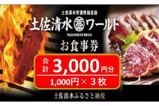 神戸・大阪・東京で使える！土佐清水ワールドお食事券（3,000円分）グルメ券 利用券 チケット券 郷土料理 海鮮料理 居酒屋 藁焼きカツオのたたき 刺身 【R00339】