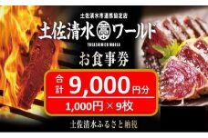 神戸・大阪・東京で使える！土佐清水ワールドお食事券（9,000円分）グルメ券 利用券 チケット券 郷土料理 海鮮料理 居酒屋 藁焼きカツオのたたき【R00643】