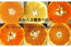 【R7年12月下旬以降順次発送】栽培期間中無農薬  訳あり  みかん３種（計３kg）おまかせ食べ比べセット 先行受付品 お楽しみ 柑橘 ミカン 果物 果実 フルーツ おやつ デザート 健康 美味しい  ワケアリ ご自宅用 国産 詰め合わせ【R01352】