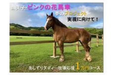 由美子・ピンクの花馬車夢のプロジェクト実現に向けて！あしずりダディー牧場応援（１万円コース）クラウンドファンディング クラファン 馬主 競馬 動物【R00341】