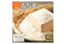 2025年発送 令和7年産 新米 もち米６kg（精米3kg×2袋）ヒメノモチ もち米 モチ米 おもち 餅 おはぎ 赤飯 魚飯 ご飯 おこめ 米 おこわ 故郷納税 高知 土佐清水市 【R00424】