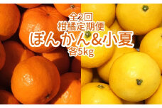 【令和8年発送】全2回定期便 特産柑橘フルーツ各５kg（ぽんかん＆小夏 ）5キロ みかん ミカン 果物 果実 果肉 デコポンの親 日向夏 おやつ デザート 甘い 美味しい 国産 ギフト 贈答 【J00220】