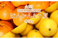 全2回定期便 特産柑橘フルーツ各５kg（ぽんかん＆小夏 ）5キロ みかん ミカン 果物 果実 デコポンの親 日向夏 オレンジ デザート 甘い 美味しい 国産 ギフト  先行予約【J00006】
