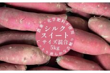 先行予約　サツマイモ（シルクスイート）５ｋｇ　農薬化学肥料不使用（洗い）【R00162】