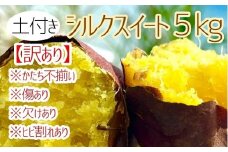 先行予約【訳あり】サツマイモ（シルクスイート）５ｋｇ　農薬化学肥料不使用　（土付き）【R00103】