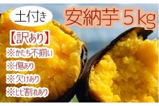 先行予約　【訳あり】サツマイモ（安納芋）５ｋｇ　農薬化学肥料不使用　（土付き）【R00164】