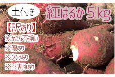 先行予約【訳あり】サツマイモ（紅はるか）５ｋｇ　農薬化学肥料不使用　（土付き）【R00104】