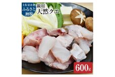 【冷凍】簡単鍋用 天然クエ（600g/2人～3人前）くえ 海鮮鍋 魚介 高級魚 切り身 クエしゃぶ しゃぶしゃぶ クエ鍋 天然 海鮮 魚 下処理済み 真空 グルメ 冷凍 配送【R00571】