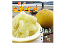 【訳あり】熟成 土佐文旦３キロ（柑橘 フルーツ みかん ザボン）先行予約 ぶんたん ブンタン 果実 果物 くだもの フルーツ デザート 柑橘類 おやつ わけあり 家庭用 3キロ 【R00083】