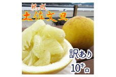 【訳あり】先行予約 熟成 土佐文旦10キロ（柑橘 フルーツ みかん ザボン ）ミカン 果物 果実 10キロ ぶんたん ブンタン おやつ デザート 甘い 美味しい ご家庭用 国産【R00403】