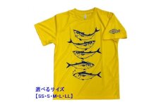 地域限定オリジナルデザイン　ドライTシャツ（デイジー）　サイズ：M【R01013】