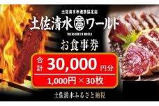 神戸・大阪・東京で使える！土佐清水ワールドお食事券（30,000円分）グルメ券 利用券 チケット券 郷土料理 海鮮料理 居酒屋 藁焼きカツオのたたき 刺身 【R00733】