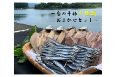 旬の干物４種類おまかせセット　無添加 お楽しみ 干し魚 健康食品 おかず 惣菜 おつまみ【R00764】