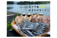 旬の干物９袋おまかせセット　無添加 お楽しみ 干し魚 健康食品 おかず 惣菜 おつまみ【R00771】