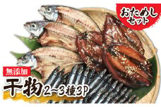 干物 乾物 無添加 季節の干物２～３種類おためしセット（ギフト・お歳暮・お中元対応）冷凍惣菜 おつまみ 塩のみ使用 お試し セット 詰め合わせ 国産 ひもの 季節 旬 冷凍配送【R00795】