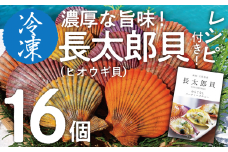 黒潮の恵 冷凍 ヒオウギ貝16個セット（ホタテの仲間）アウトドア キャンプ バーベキュー 魚貝 殻付 貝柱 酒蒸し 真空パック【R00803】